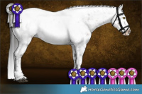 Horse Color:Brown Roan Appaloosa Rabicano