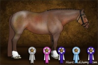Horse Color:Liver Red Roan 