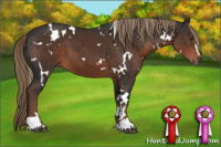 Horse Color:White Spotted Liver Chestnut Sabino 