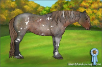 Horse Color:White Spotted Liver Red Roan 