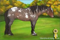 Horse Color:White Spotted Liver Red Roan Appaloosa 