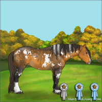 Horse Color:White Spotted Buckskin Sabino