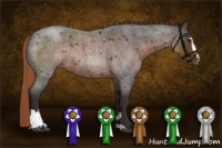 Horse Color:Liver Red Roan Sabino Rabicano 