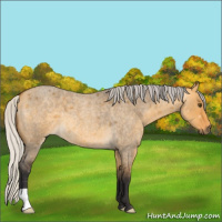 Horse Color:Silver Buckskin Roan Dun