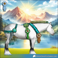 Horse Color:Gray Black Appaloosa  and Black Appaloosa 