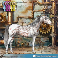 Horse Color:Brown Tobiano Appaloosa