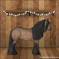 Horse Color:Brown Dun Rabicano 