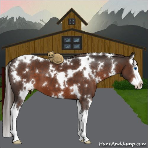 Horse Color:White Spotted Liver Chestnut Splash 