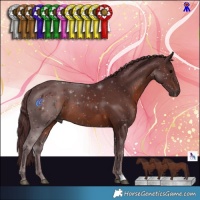 Horse Color:Chocolate Brown 