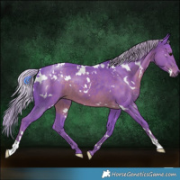 Horse Color:Watercolor White Spotted Silver Black 