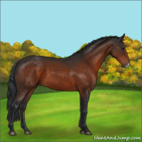 Horse Color:Brown Frame 