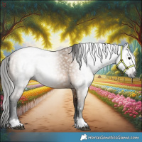 Horse Color:Gray Bay Dun