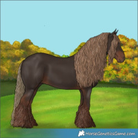 Horse Color:Liver Chestnut Rabicano 