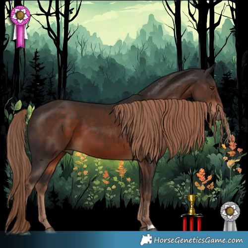 Horse Color:Liver Chestnut 