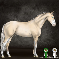 Horse Color:Silver Smoky Black Pearl Sabino Rabicano 
