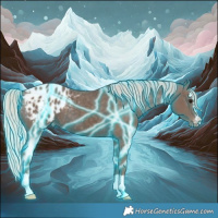 Horse Color:Thunderstruck Silver Black Appaloosa 