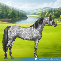 Horse Color:Blue Roan Snowflake Varnish 