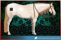Horse Color:Buckskin Pearl Dun Rabicano 