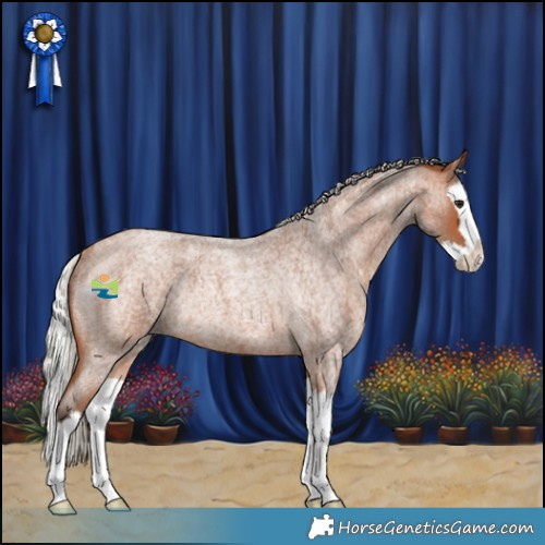 Horse Color:Silver Bay Roan Splash Rabicano 
