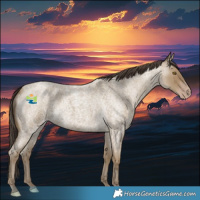 Horse Color:Classic Cream Champagne Roan 