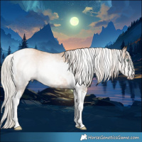 Horse Color:Gray Silver Sable Champagne Pearl Sabino Tobiano 
