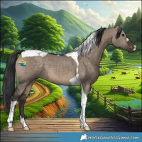 Horse Color:Brown Dun Tobiano 