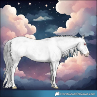 Horse Color:Brown Chinchilla Sabino Appaloosa
