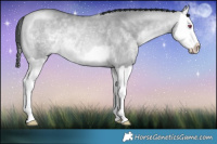 Horse Color:Bay Chinchilla Dun Splash 