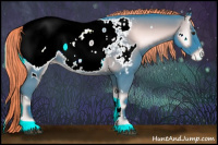 Horse Color:Watercolor White Spotted Liver Red Onyx Sabino Appaloosa