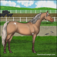 Horse Color:Silver Brown Dun Varnish 