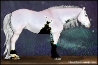 Horse Color:Watercolor Palomino Onyx Sabino 