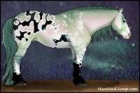 Horse Color:Watercolor Bay Onyx Sabino Appaloosa