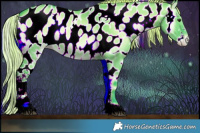 Horse Color:Watercolor White Spotted Liver Red Dun Onyx Sabino Appaloosa