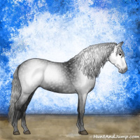 Horse Color:Gray Black 