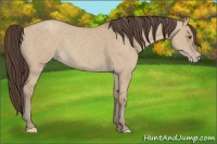 Horse Color:Classic Champagne Dun 