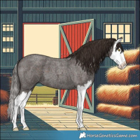 Horse Color:Liver Red Roan Splash 