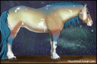 Horse Color:Watercolor White Spotted Brown Onyx Appaloosa 