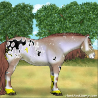 Horse Color:Watercolor White Spotted Red Onyx Roan Appaloosa 