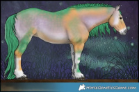 Horse Color:Watercolor Buckskin Onyx