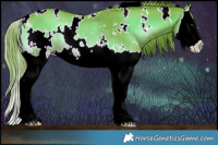 Horse Color:Watercolor White Spotted Liver Red Onyx Splash Rabicano 