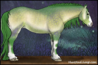 Horse Color:Watercolor Brown Onyx Rabicano 