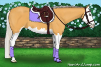 Horse Color:Silver Buckskin Sabino Splash 