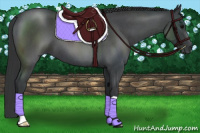 Horse Color:Blue Roan 