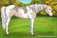 Horse Color:Silver Blue Roan Splash Tobiano  and Silver Classic Champagne Roan Splash Tobiano 