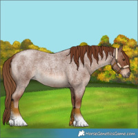 Horse Color:Red Roan