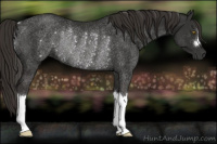 Horse Color:Liver Chestnut Rabicano 