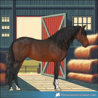 Horse Color:Brown 