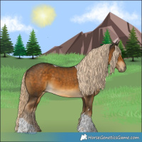Horse Color:Chocolate Palomino Tobiano