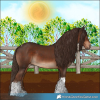 Horse Color:Liver Chestnut Tobiano Rabicano 