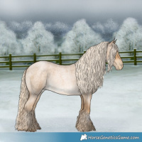 Horse Color:Chocolate Palomino Roan Pearl 